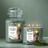 Scripted Spruce 3-Wick Candle