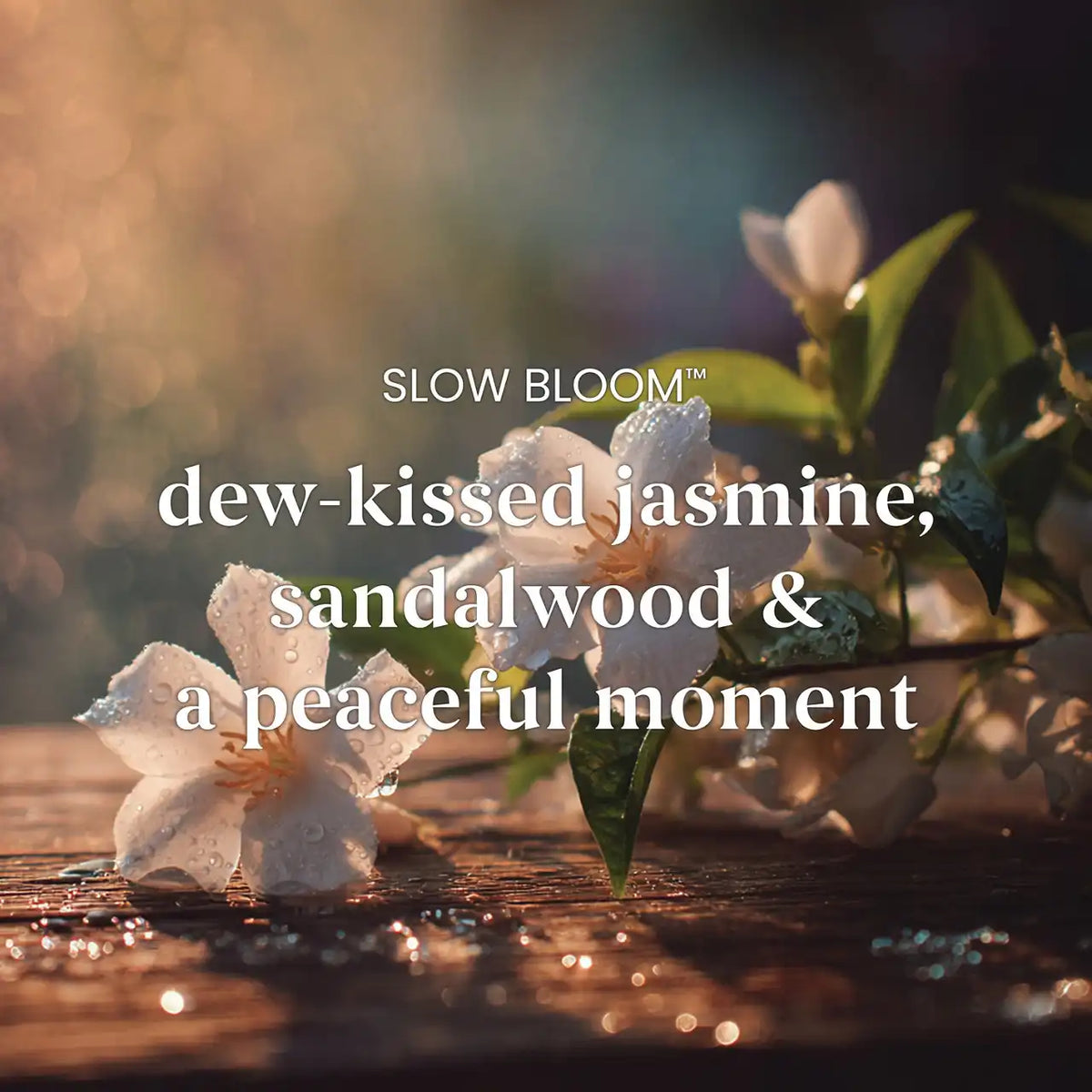 Slow Bloom Large Tumbler Candle