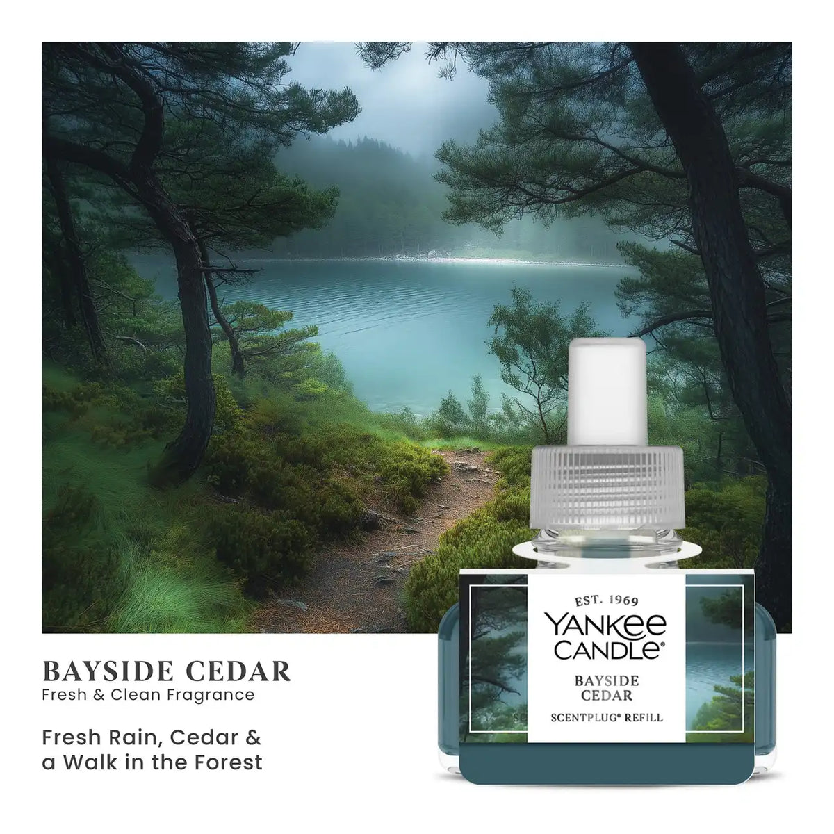 Bayside Cedar ScentPlug® Refill