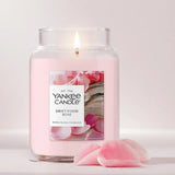 Driftwood Rose Original Large Jar Candle