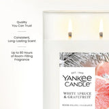 White Spruce & Grapefruit Large Tumbler Candle