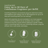 Balsam & Cedar ScentPlug® Refill
