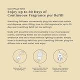 Christmas Cookie™ ScentPlug® Refill