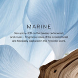 Marine Premium Reed Diffuser YC Collection Premium Reed Diffuser