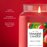 Macintosh Original Large Jar Candle