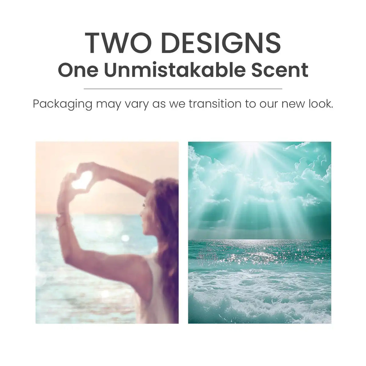 Catching Rays™ ScentPlug® Refill