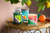 Sun Club - Lemon & White Rose 3-Wick Candle