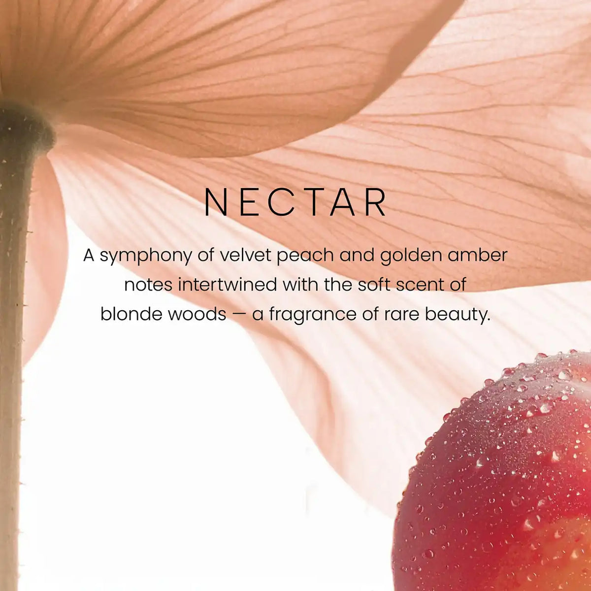 Nectar Premium Small Candles