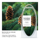 Balsam & Cedar Wax Melts 6-Packs