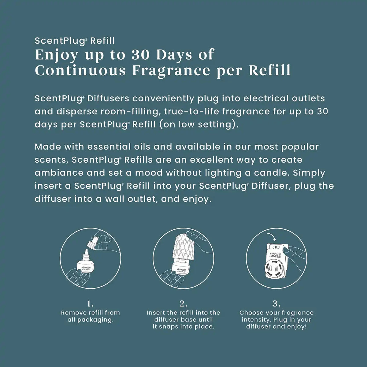 Bayside Cedar ScentPlug® Refill
