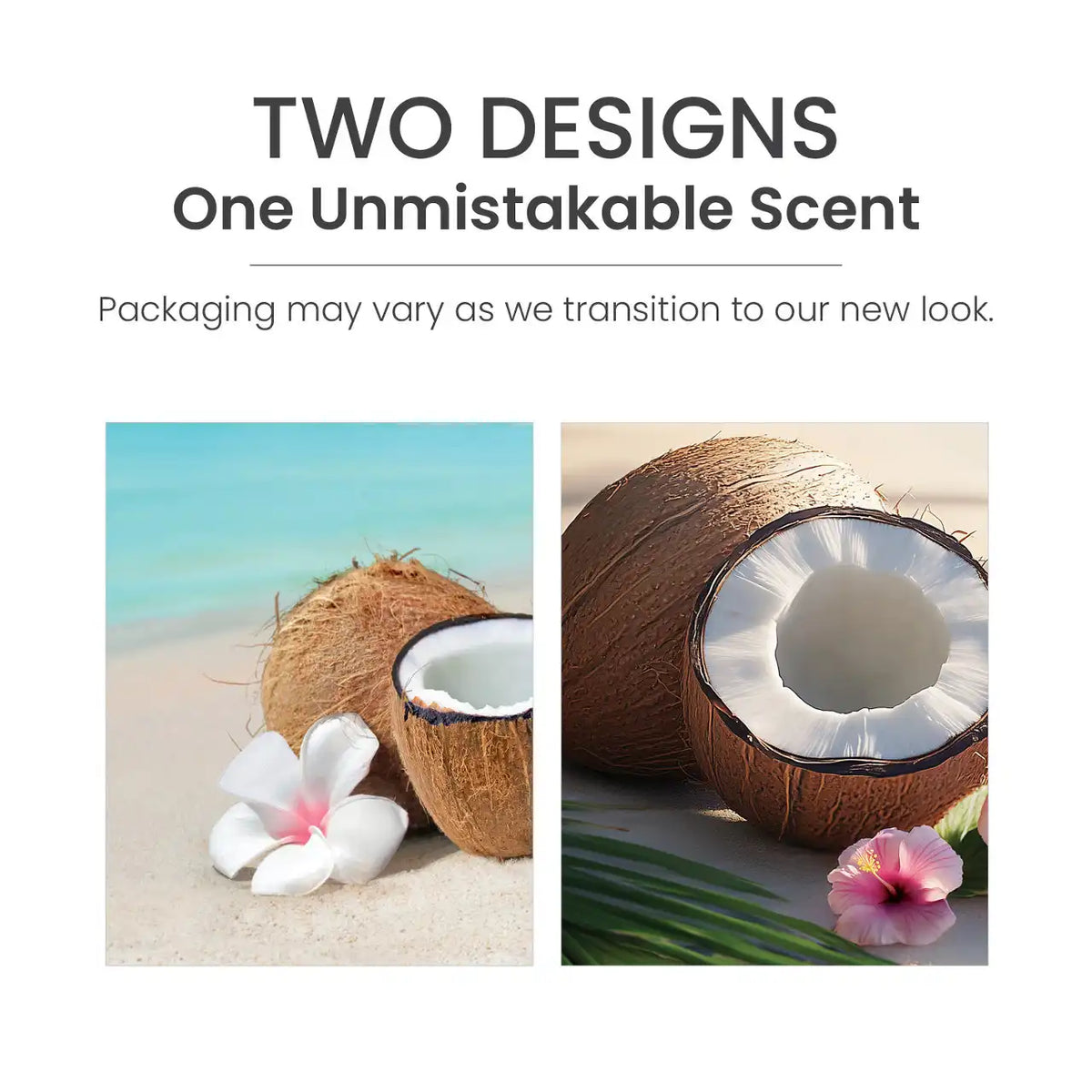Coconut Beach Wax Melts 6-Packs