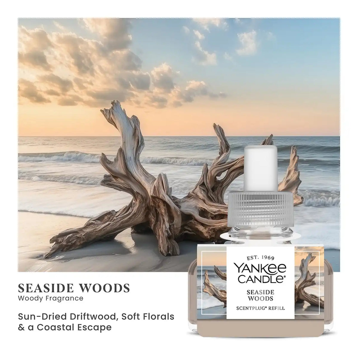 Seaside Woods ScentPlug® Refill