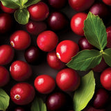 Cranberry Chutney Yankee Candle® Minis