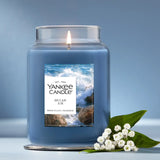 Ocean Air Original Large Jar Candle