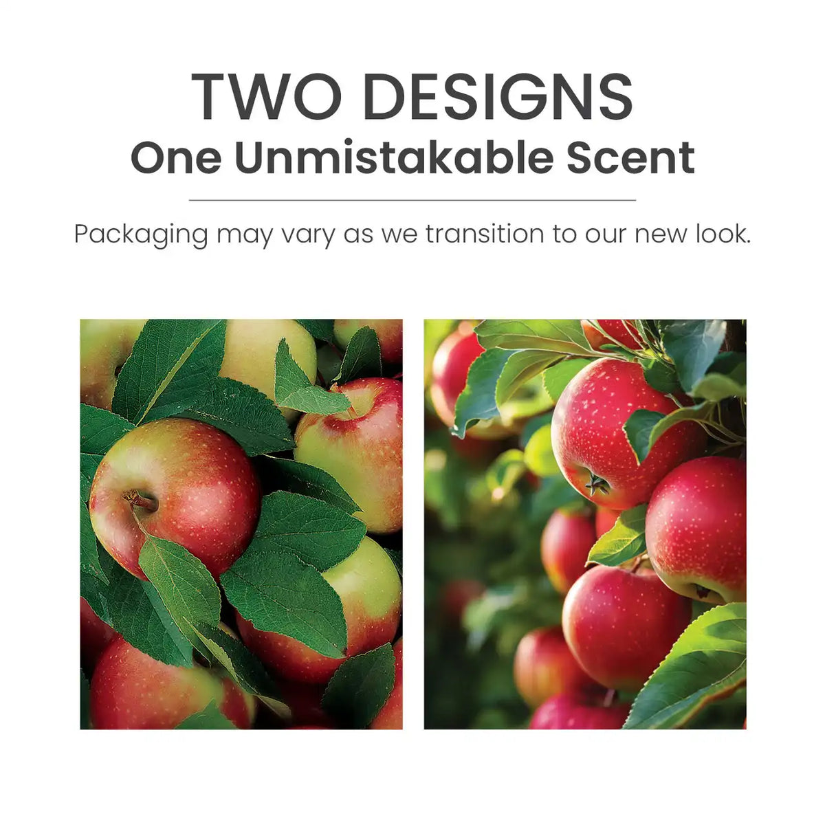Macintosh Smart Scent™ Vent Clip