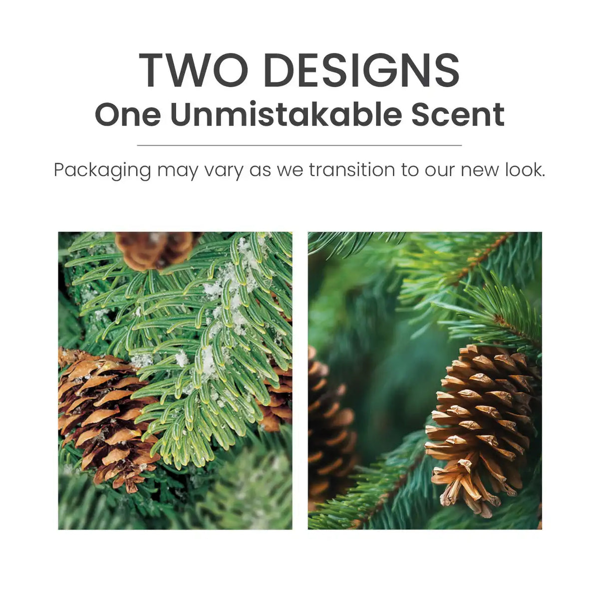 Balsam & Cedar Smart Scent™ Vent Clip