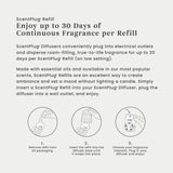 Coconut Beach ScentPlug® Refill