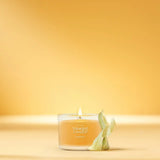 Harvest® Yankee Candle® Minis