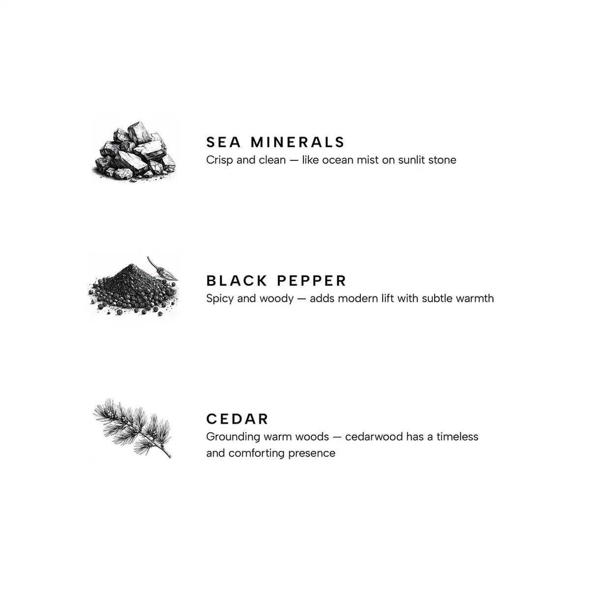Marine Premium Reed Diffuser YC Collection Premium Reed Diffuser