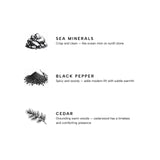 Marine Premium Reed Diffuser YC Collection Premium Reed Diffuser