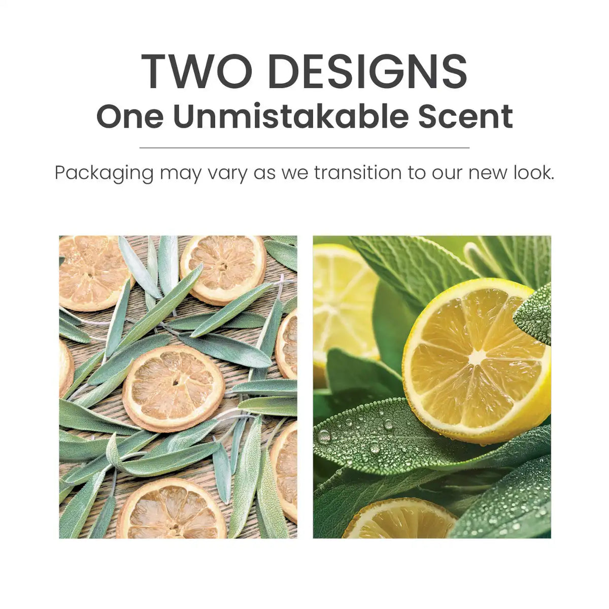 Sage & Citrus Sidekick® 2-Pack Fragrance Refills