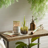 Mistletoe™ Signature Large Jar Candle