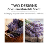 Dried Lavender & Oak Easy MeltCup