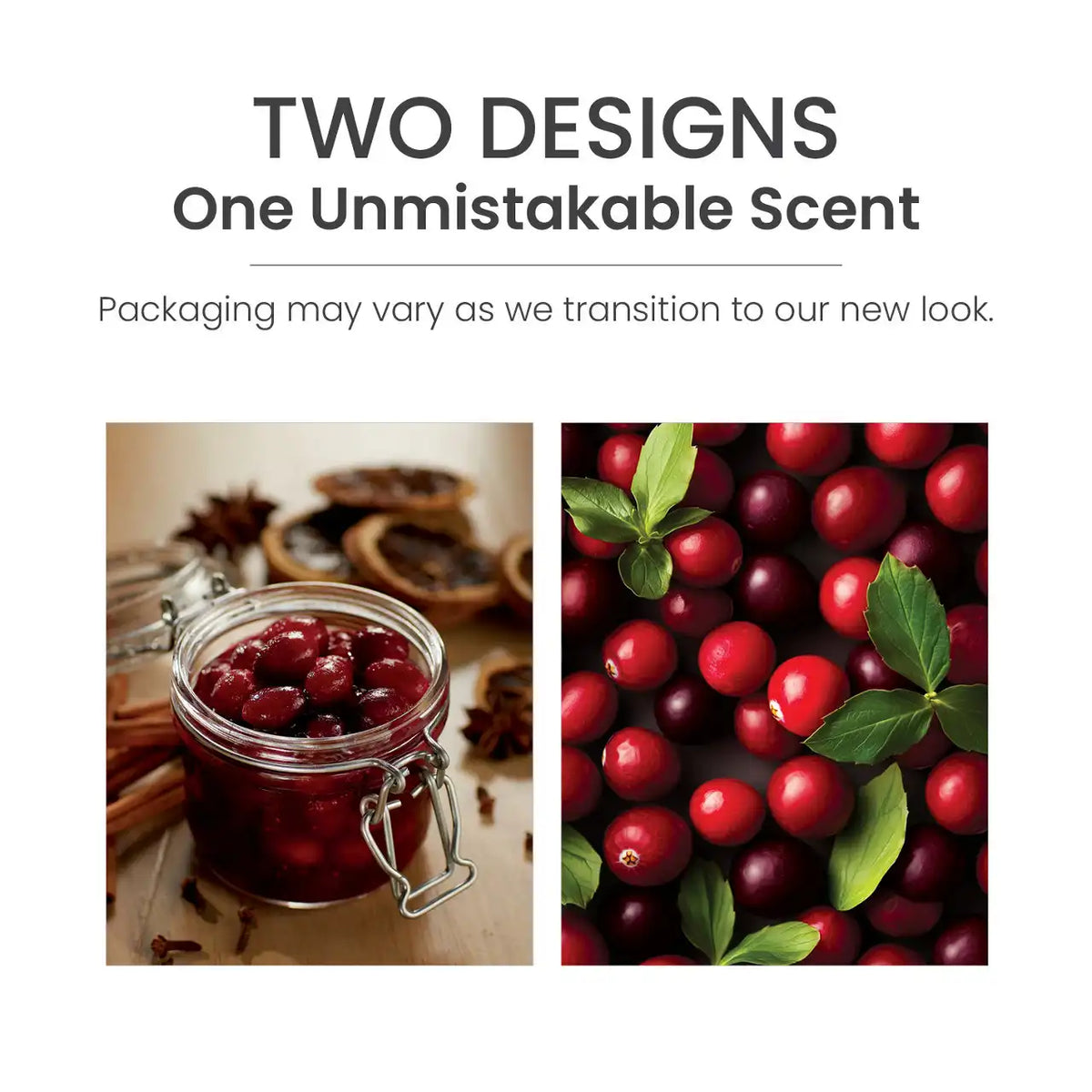 Cranberry Chutney Yankee Candle® Minis