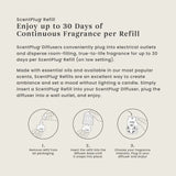 Vanilla Cupcake ScentPlug® Refill
