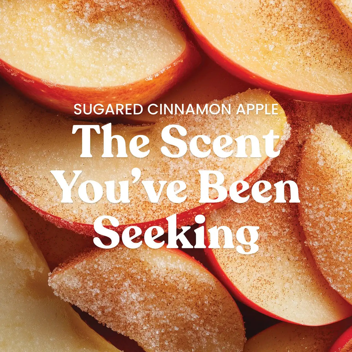 Sugared Cinnamon Apple 3-Wick Candle