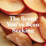 Sugared Cinnamon Apple 3-Wick Candle