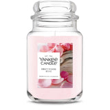 Driftwood Rose Original Large Jar Candle