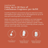 Spiced Pumpkin ScentPlug® Refill