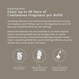 Campfire Nights ScentPlug® Refill