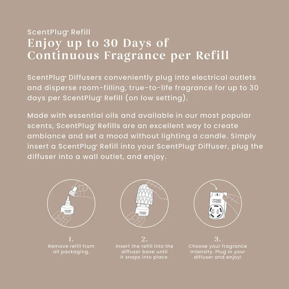 Seaside Woods ScentPlug® Refill